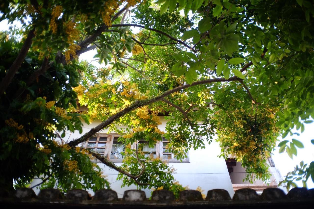 Mali Home Хойан Экстерьер фото